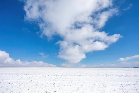 Simple winter background with blue sky Stock Photos
