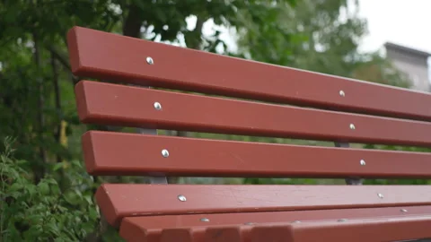 Simple wooden bench placed under leafy canopy in city park Stock Footage 327804237