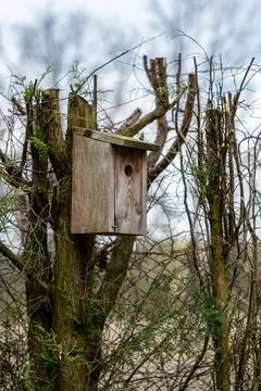 Simple wooden bird nesting box attached to a tree trunk in the thickets Stock-Fotos