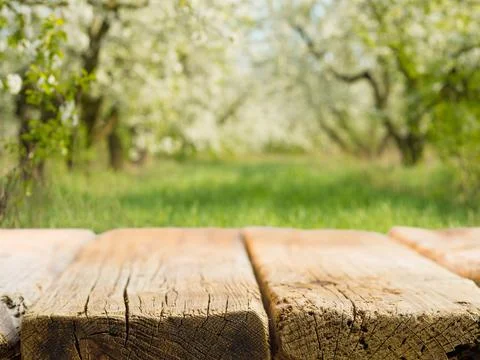 A simple wooden table against the backdrop of beautiful summer nature. Retro  Stock Photos