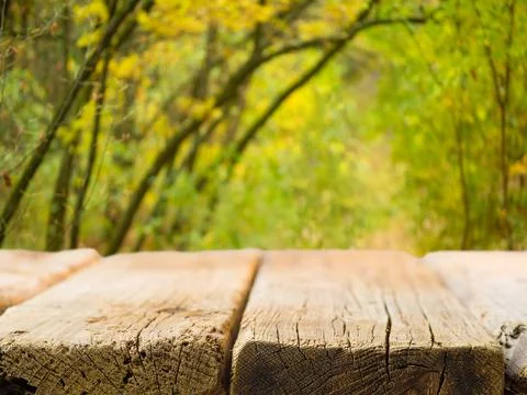 A simple wooden table against the backdrop of autumn nature. Close-up. Minima Stock Photos