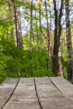 A simple wooden table in the forest Stock Photos