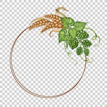 Simple wreath with wheat and hops watercolor Stock Illustration