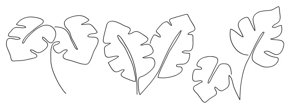 Simplicity monstera leaf freehand continuous line art hand drawn collection.. Stock Illustration