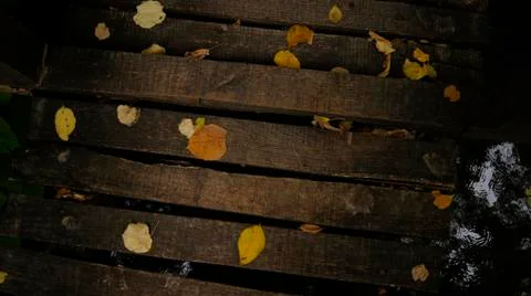 Simplicity Stock Photos