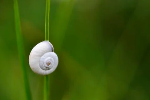 Simplicity 스톡 사진