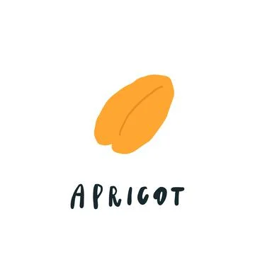 Simplified apricot drawing. Vector design object Stock Illustration