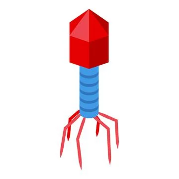 Simplified bacteriophage virus model showing components Stock-Illustration