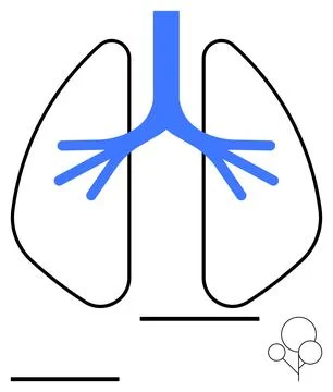 Simplified Blue Lungs Design Highlighting Bronchial Tree and Air Pathways Stock Illustration