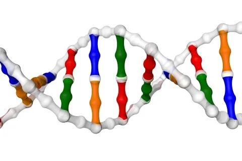Simplified DNA helix Stock Illustration