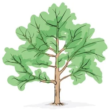 Simplified image - crone of tree 스톡 일러스트