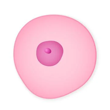 Simplified minimalistic organic cell Illustrazione stock