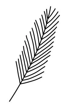Simplified pine or fir branch silhouette, winter design element, doodle style Stock Illustration