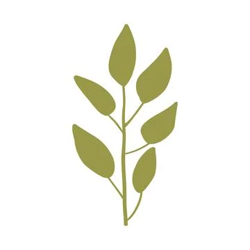 Simplistic green branch design with bold leaves on a white background, perfect Stock Illustration