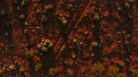 Simpson Desert Sand Dunes Stock Footage 161470084