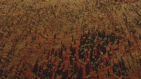 Simpson Desert Trees Stock Footage 161468858