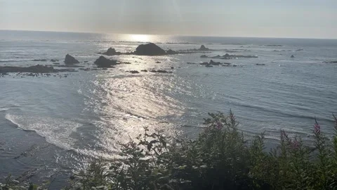 Simpson Reef Oregon Coast on a beautiful summer day Video stock 329453507
