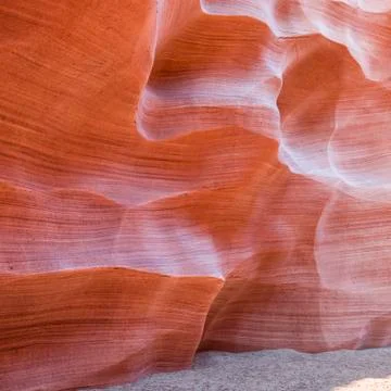 Simulate Canyon Antilope Stock Illustration