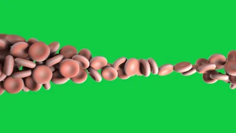 Simulated flow pushing biconcave discs moving tumbling on transparent background Stock Footage 341869474