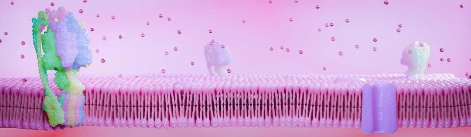 Simulated image of cell membrane, a component of cell wall proteins. Glycop.. Stock Illustration