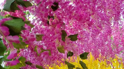 Simulated rope flower Stock Footage 275837465