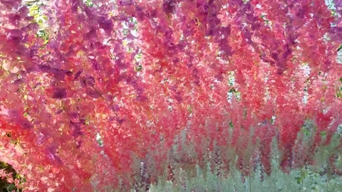 Simulated rope flower2 Stock Footage 275835613