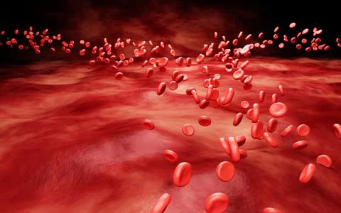 Simulates the inside of blood vessels or veins and red blood cells. Red blo.. Stock Illustration