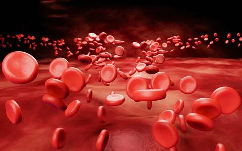 Simulates the inside of blood vessels or veins and red blood cells. Red blo.. Stock Illustration