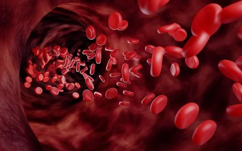 Simulates the inside of blood vessels or veins and red blood cells. Red blo.. Stock Illustration