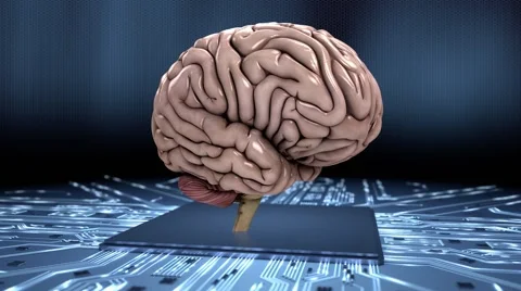 Simulating the human brain loop dynamic HD 库存影片 49455782