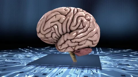 Simulating the human brain loop slow 4K Stock Footage 49455277