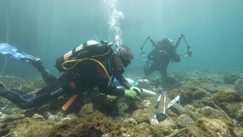 Simulation diver puts bloody knife in a wrapper, Ustica, Mediterranean sea Stock Footage 124323933