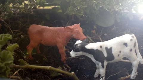 Simulation of the effects of climate change Stock Footage 124336239