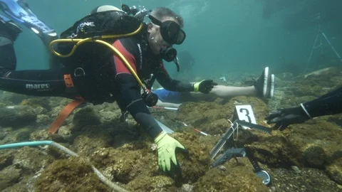 Simulation of underwater crime scene divers making detections with dummy, Ustica Stock Footage 124145657
