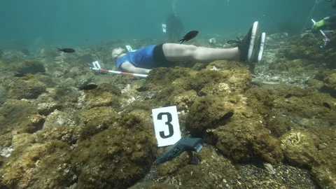 Simulation of underwater crime scene divers making detections with dummy, Ustica Stock Footage 124160569