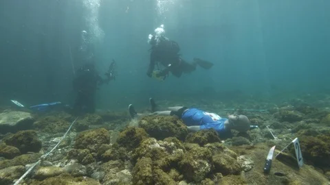 Simulation of an underwater crime scene, divers making detections,Ustica,Med sea Stock Footage 124277713