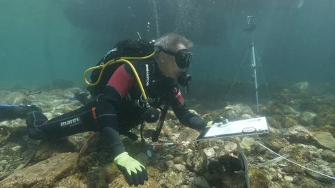 Simulation of an underwater crime scene, divers making detections,Ustica,Med sea Stock Footage 124279776