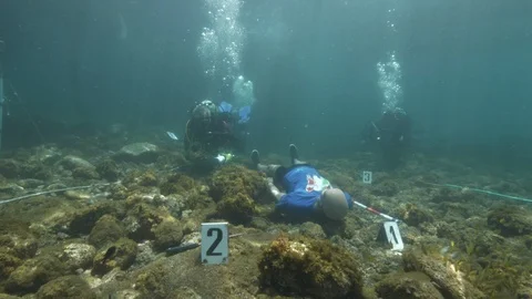 Simulation of an underwater crime scene, divers making detections,Ustica,Med sea Stock Footage 124282739