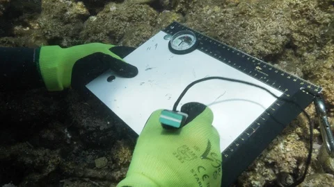 Simulation of an underwater crime scene,diver close-up, Ustica,Mediterranean sea Stock Footage 123934589