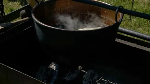Simultaneous Cooking Process Showcasing Steaming Pot 库存影片 332126174
