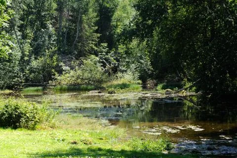 Simuna wellspring Stock Photos