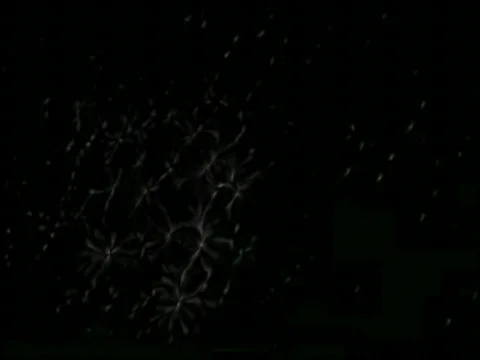 Sin City Hands Stock Footage 645035