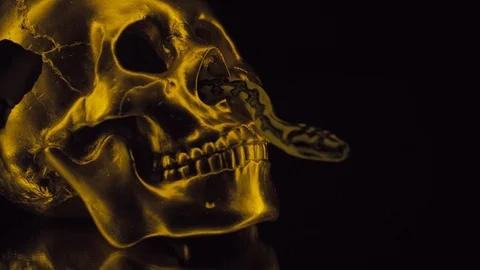 Sin of greed skull Stock Footage 106760268