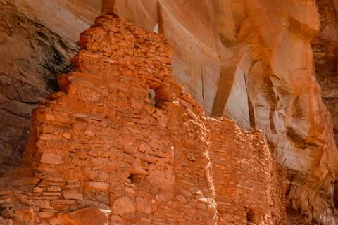 Sinagua cliff dwelling Foto stock
