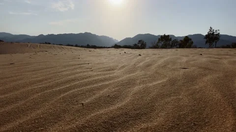 Sinai sand dunes Vidéo 164494367