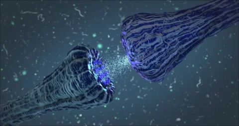 Sinapsis neuronal animation. Sinapsis transmision. Stock Footage