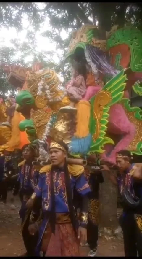 Singa depok Video stock 242690429