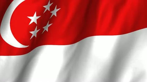 Singapor Waving Flag Video stock 12359979