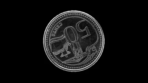 Singapore 50 Cent 2015 Reverse Macro Loop Stock Footage 310723394