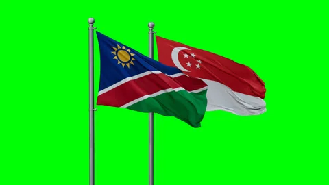 Singapore and Namibia two flags Stock Footage 295078951